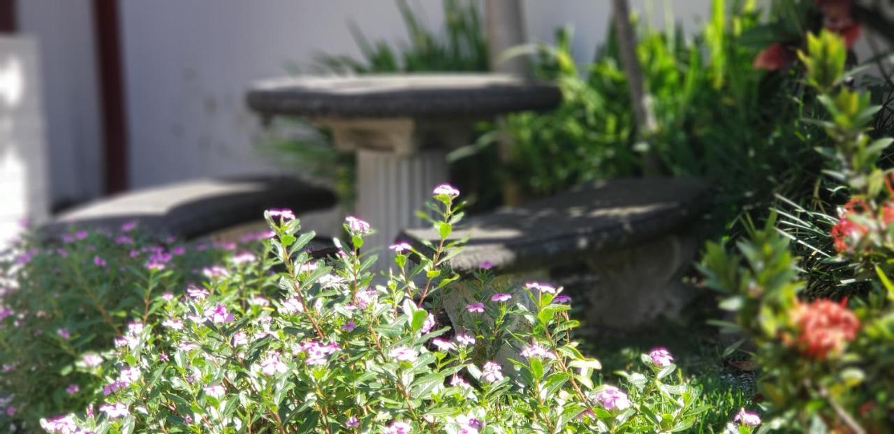 Alajuela City Hotel & Guest House Bagian luar foto